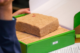 Probe einer für die Ziegeldämmung vorgesehenen Holzfasermatte aus Buchenholz. Foto: BMEL/Stephan Framke