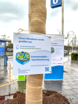 Weltwassertag: Bauminister Bernreiter und Verbändekooperation "Wassersensibles Planen und Bauen" pflanzen Klimabaum zur Stärkung der Schwammstadt. Foto: ByAK