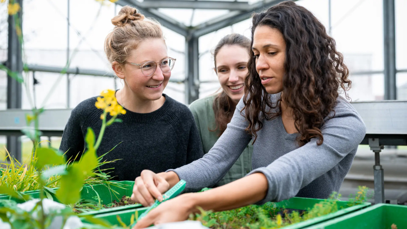 Prof. Monika Egerer, Nadja Berger und Lauren Porter erforschen das Potenzial von konstruierten Böden für Stadtplaner. Sie züchten Pflanzen in diesen Böden in Gewächshäusern an der TUM School of Life Sciences. Foto: Astrid Eckert / TUM
