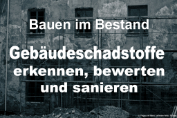 Bauen im Bestand - Gebäudeschadstoffe erkennen, bewerten und sanieren 
