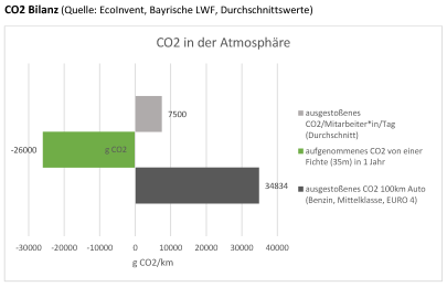 Für die Emissionen, die von einem Auto auf 100 km ausgestoßen werden, benötigt ein 35 Meter hoher Baum zur Kompensation über ein ganzes Jahr. Nach 3,5 Tagen hat ein Mitarbeiter oder eine Mitarbeiterin gleich viele Emissionen ausgestoßen, wie eine Fichte in einem Jahr aufnehmen kann.