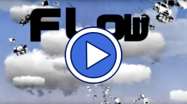 Flow